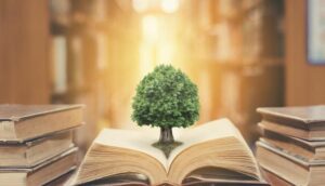 Programme-philosophie